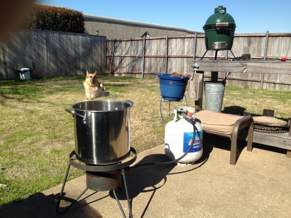 My outdoor brewing set up yesterday